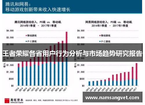 王者荣耀各省用户行为分析与市场趋势研究报告